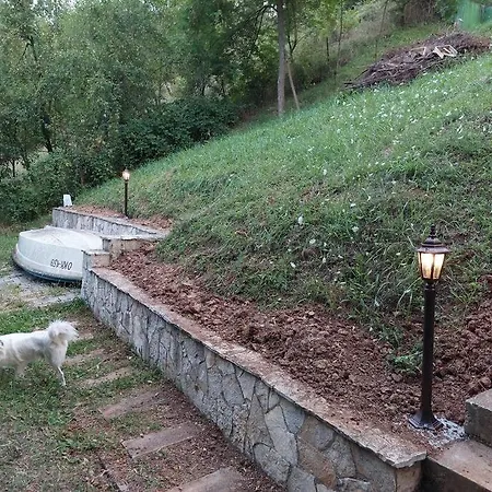 Case de vacanță 